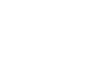 Elementor_Logo_Partner